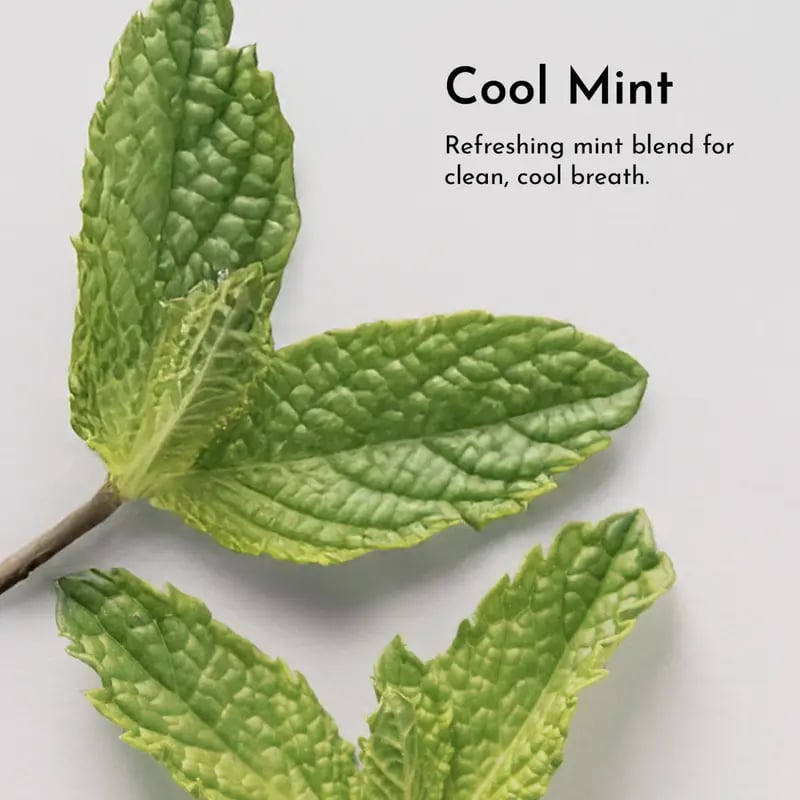 Whitening Remineralizing Tooth Powder (Mint)