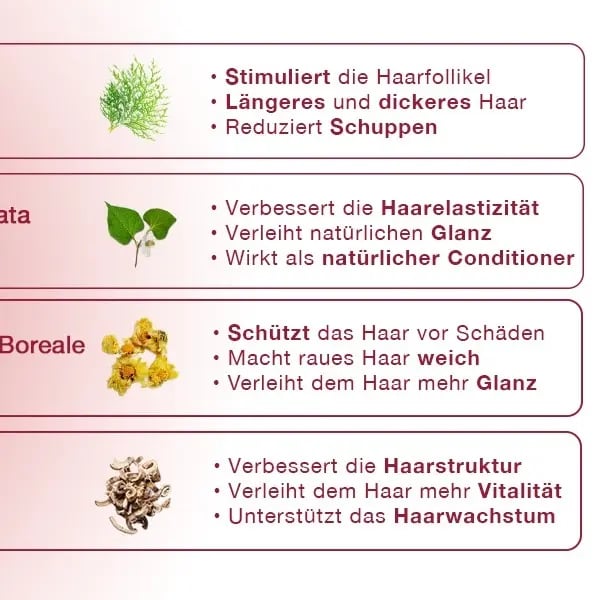 Hanwave Revitalising All-in-One Hairmask – Haarmaske mit 14+ Pflanzenextrakten