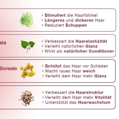 Hanwave Revitalising All-in-One Hairmask – Haarmaske mit 14+ Pflanzenextrakten